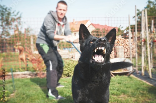 Aggressive dog is barking
