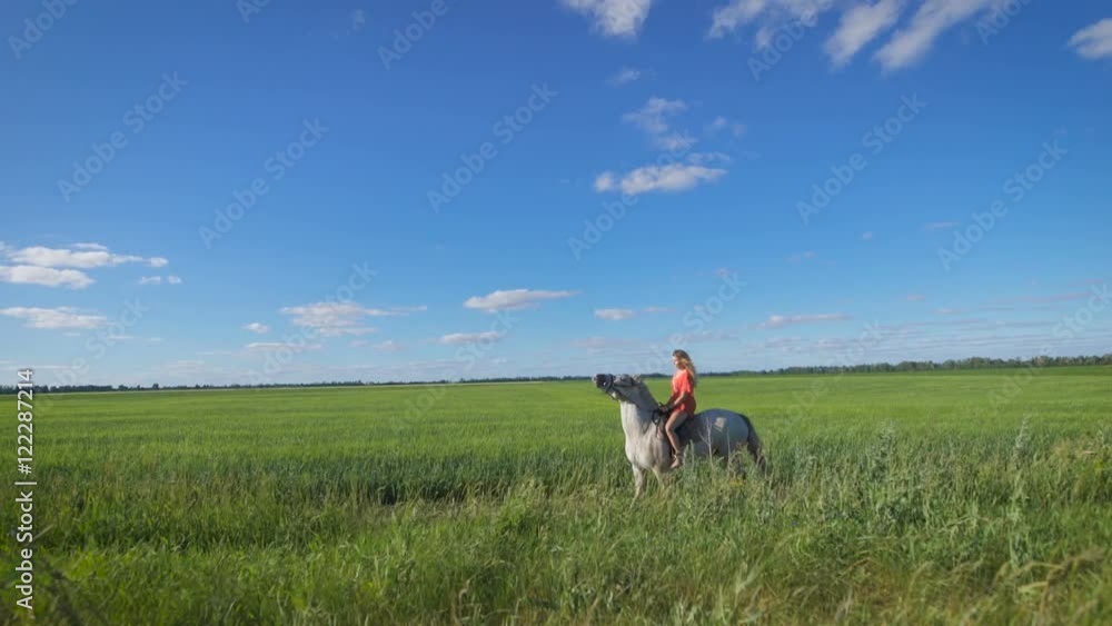 Beautiful blonde girl riding a horse at a countryside Beautiful blonde girl riding a horse at a countryside
