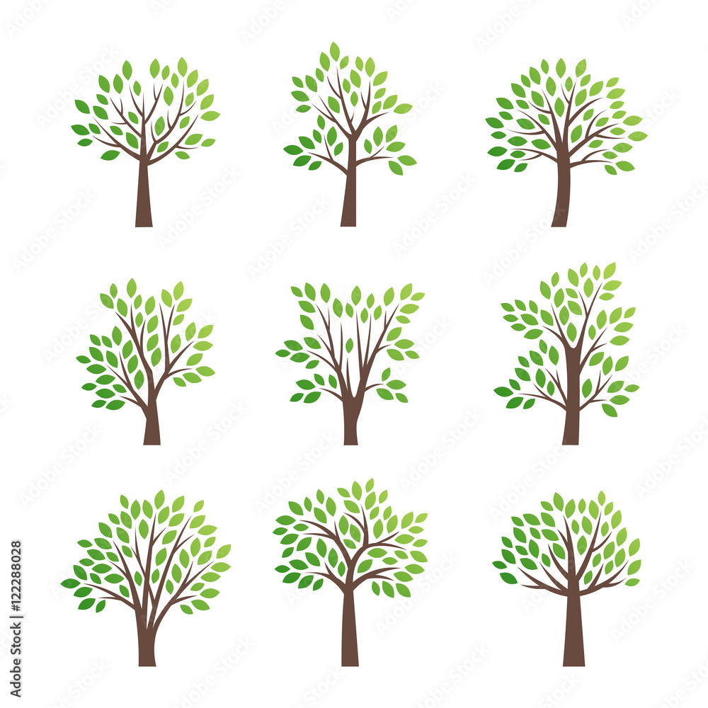 Fototapeta premium Stylized vector tree logo icon