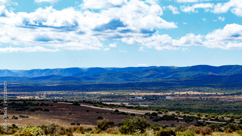 Fototapeta premium Addo Landscape