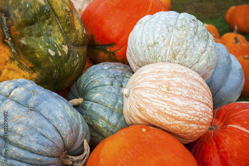 Pile of colorful pumpkins, Elkton, Maryland, United States of America photo