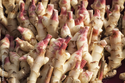 Ginger root at farmer's market, Rochester, Minnesota, United States of America