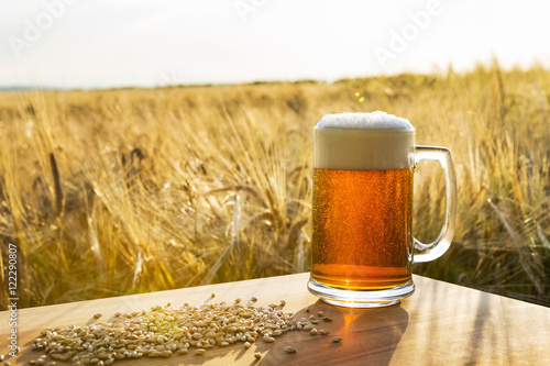 Frothy beer mug in ripe golden barley field photo
