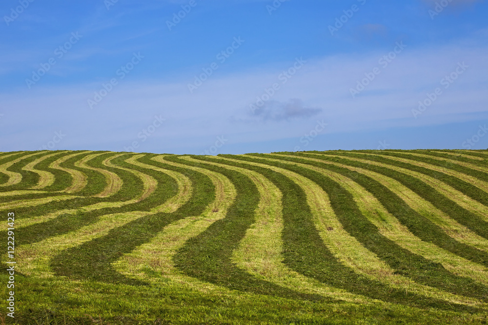 Hay Field With Geometric Pattern, Compton, Quebec, Canada Hay Field With Geometric Pattern, Compton, Quebec, Canada