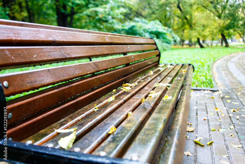 Fototapeta premium Wet bench in the Park covered with yellow leaves. Autumn in Mosc