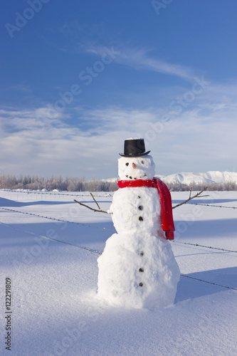 Snowman wearing a red scarf and black top hat standing in fresh snow on a sunny day;Palmer alaska united states of america