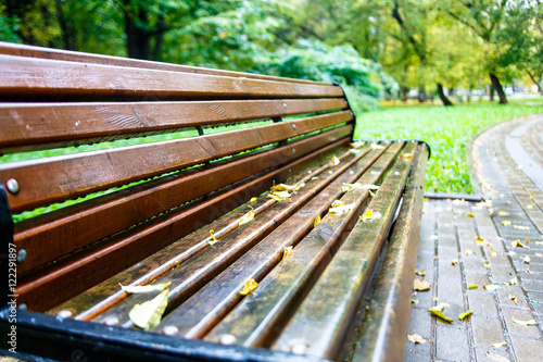 Wet bench in the Park covered with yellow leaves. Autumn in Mosc photo