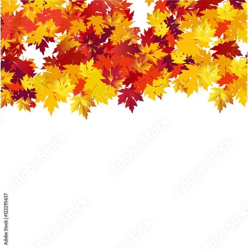 Autumn background with maple leaves 