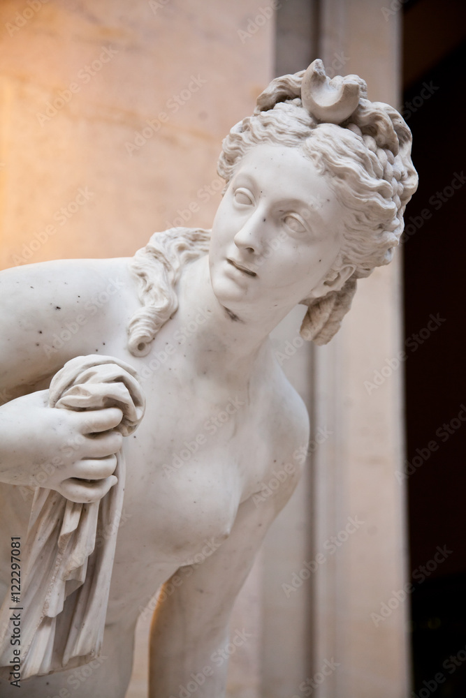 Naklejka premium Venus