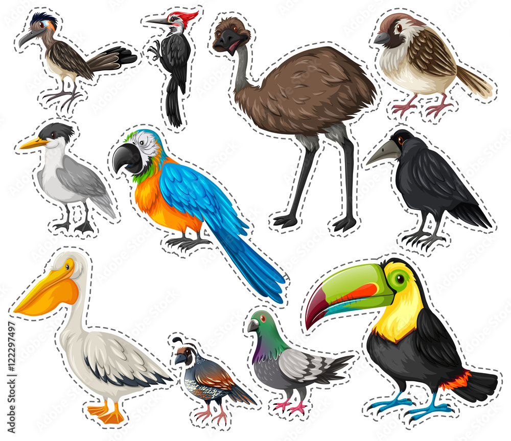 Fototapeta premium Sticker set with many birds