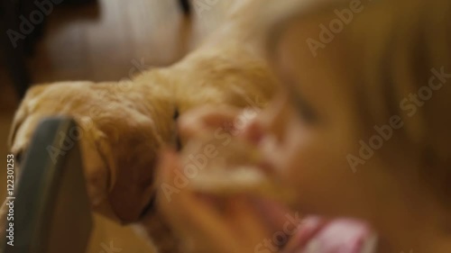 A dog begging as a little girl eats a pancake with her hands, close up