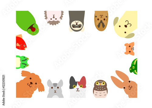 pets animals rectangle frame