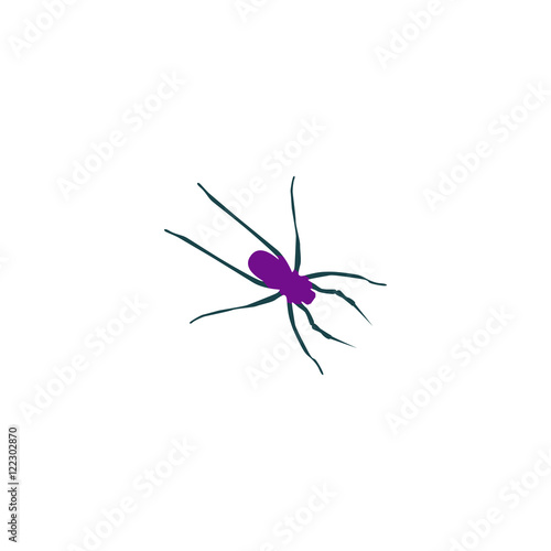 Spider Icon Vector