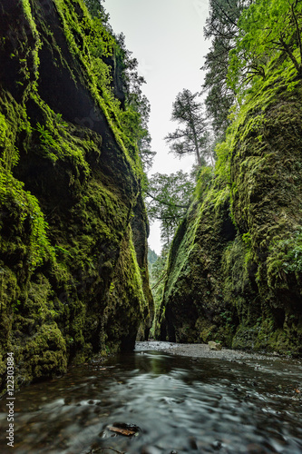 Who photographed Oneonta Gorge for the first time? photo