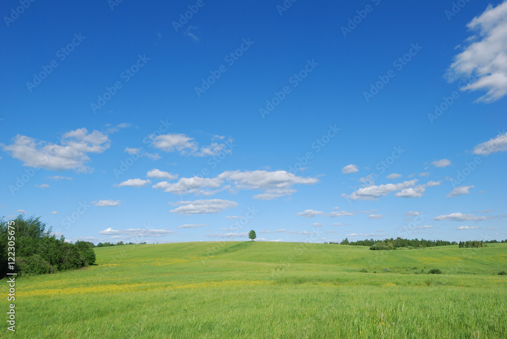 Summer landscape - green field and lonely tree Summer landscape - green field and lonely tree