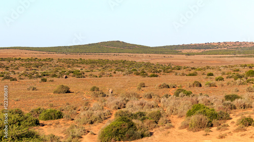 So Beautiful Addo Landscape