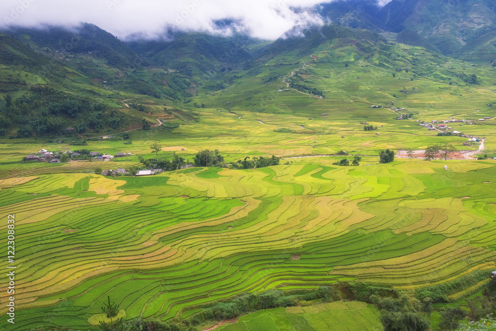 A beautiful rice terrace with colorful in the cloudy day