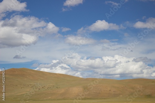 a steppe landscape under blue sky with clouds, a flock of sheep on the hill