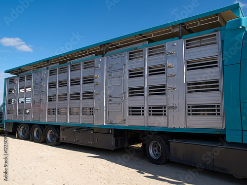 Bild auf Leinwand Special truck and trailer for transportation of pigs