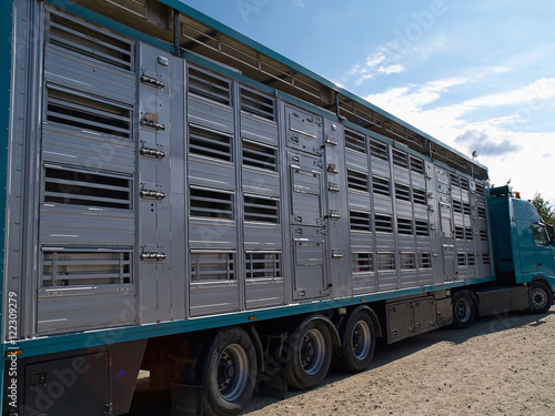 Photography Special truck and trailer for transportation of pigs