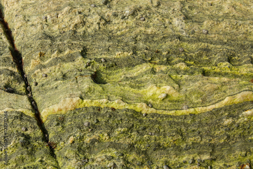 Obraz premium Greens. flaky stone