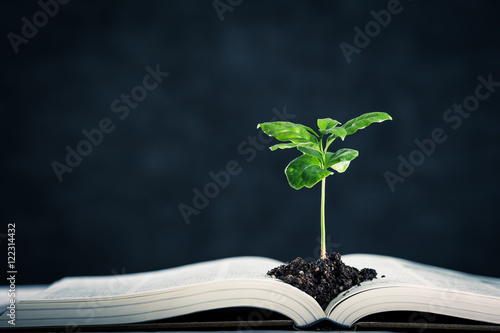 本と植物