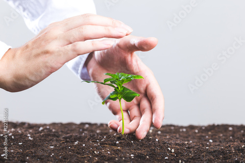 植物を育てる人間の手