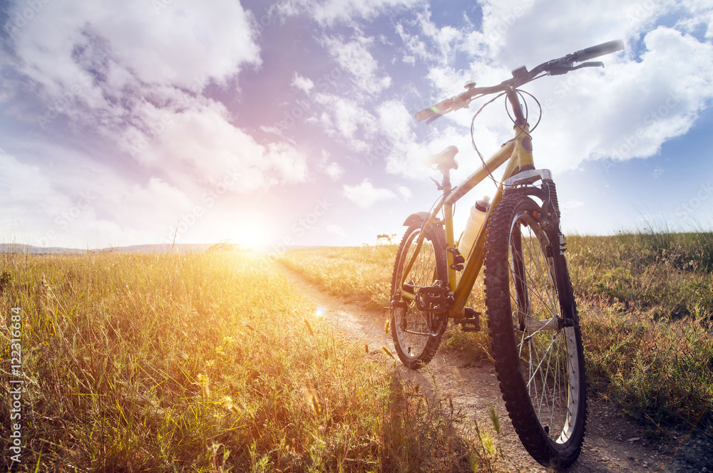 Naklejka premium Silhouette Mountain biking at sunset