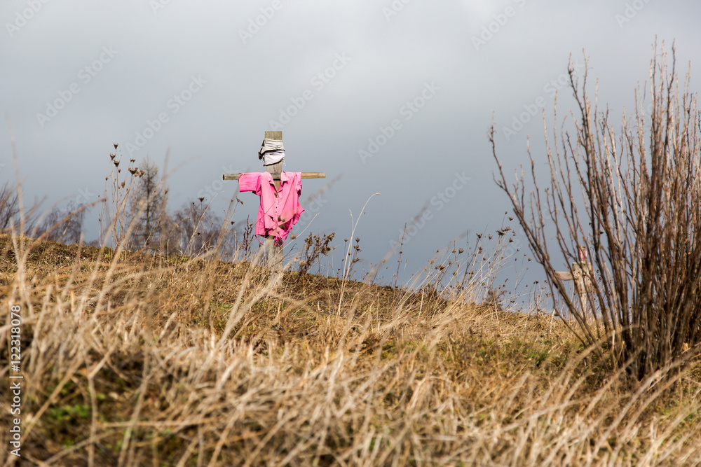 Scarecrow Scarecrow