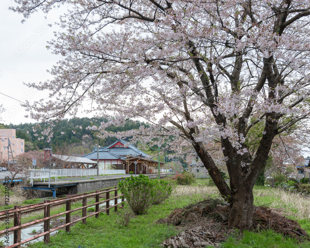 Yahiko Station in Yahiko, Niigata, Japan. Yahiko Station in Yahiko, Niigata, Japan.