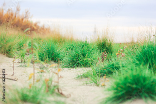 White clouds over dunes