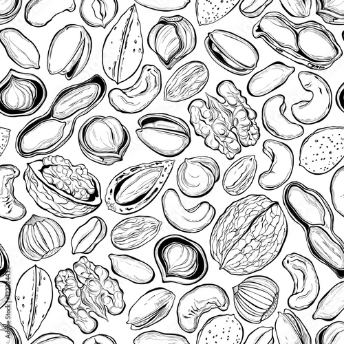 Nuts . Seamless vector pattern. Outline hand drawn illustration.