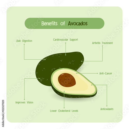 Infographic for avocado benefits with handwriting font style