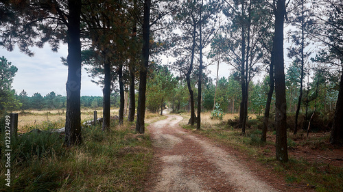 Pilgrims, Road to Compostela, pilgrims Road to French Santiago de Compostela, Galicia, Spain, landscapes in the pilgrimage to Santiago de Compostela photo