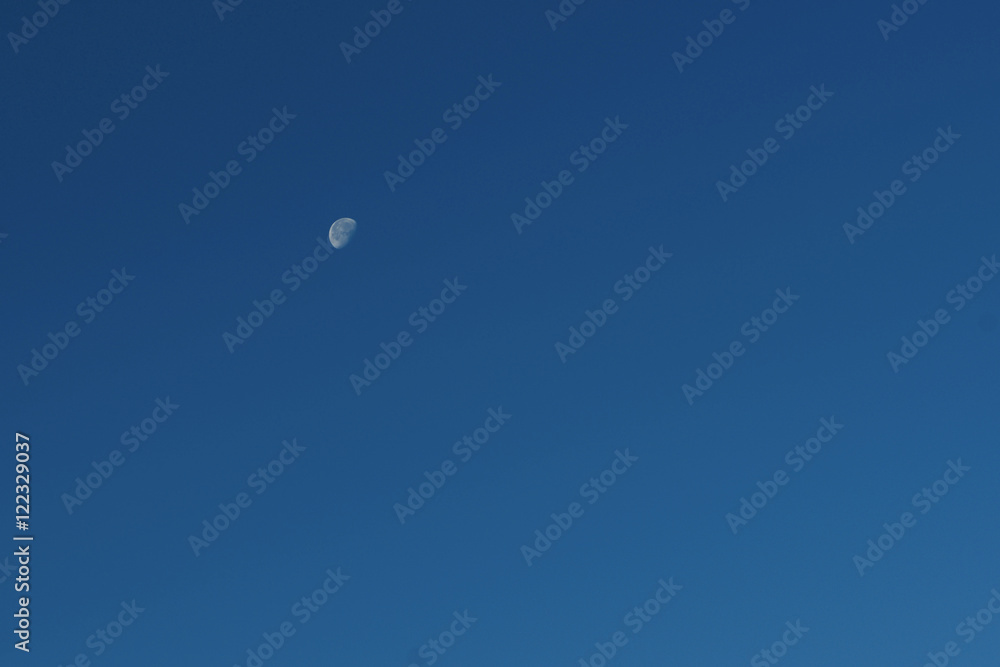Moon Moon