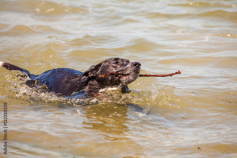 Fototapeta premium Badespaß