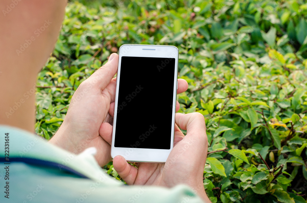 White mobile phone in hands a young hipster business man on the background of green nature natural bush White mobile phone in hands a young hipster business man on the background of green nature natural bush