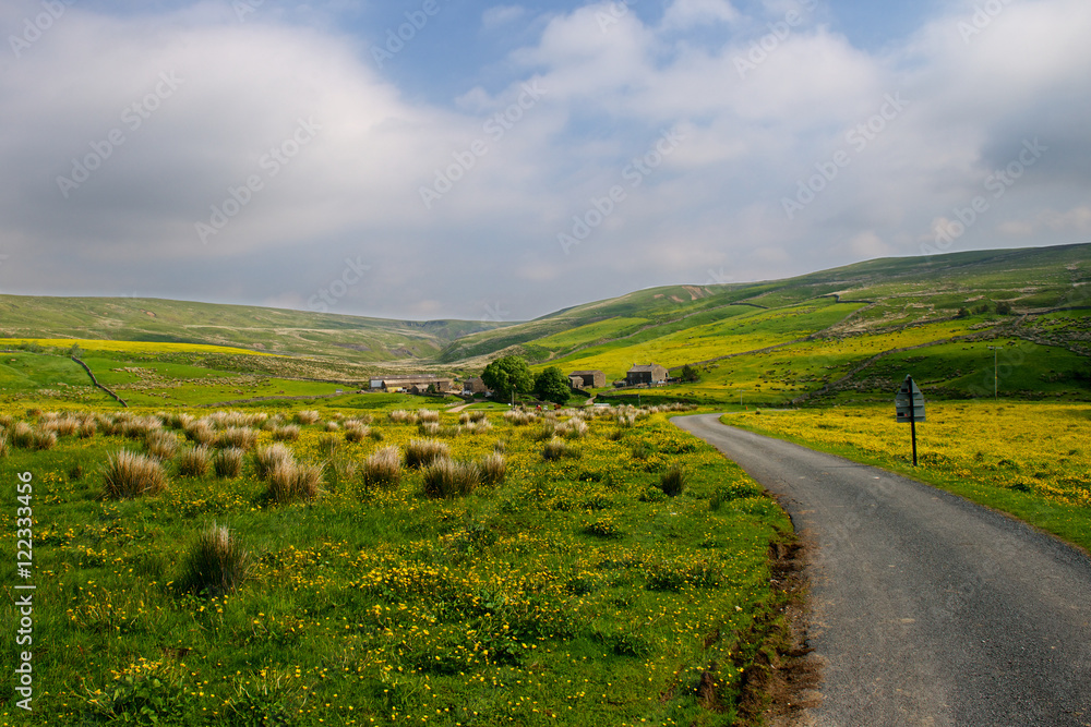 Yorkshire Dales in Summer