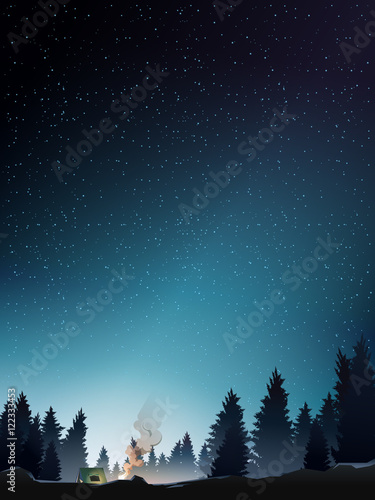 camp in pine wood perspective when starry night