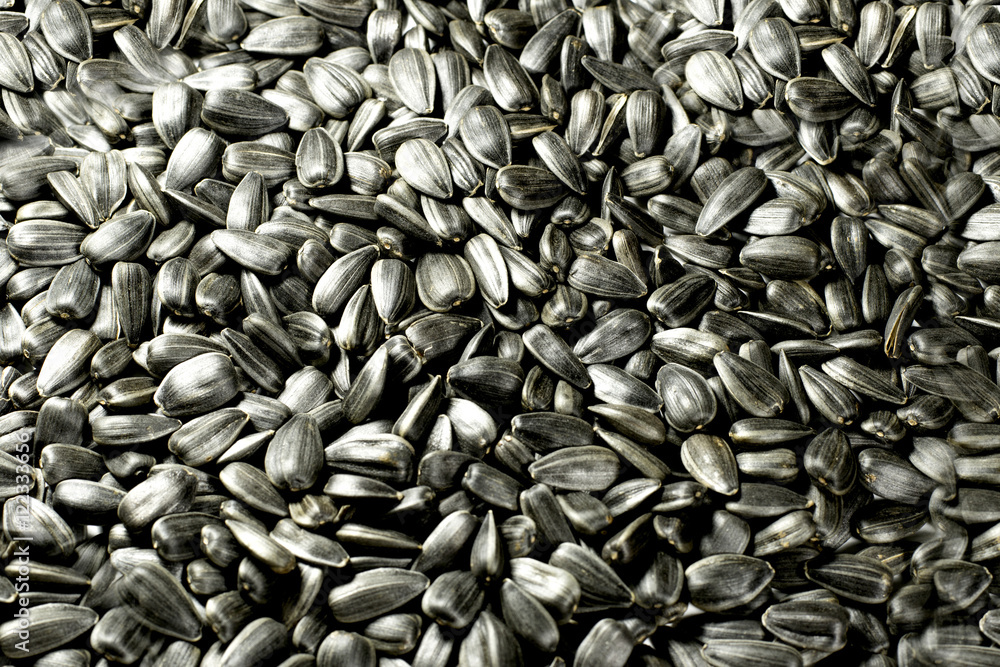 Sunflower seeds for background Sunflower seeds for background