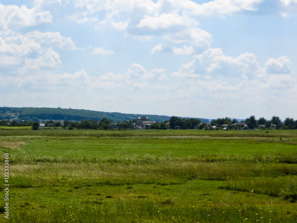 Wide green meadow