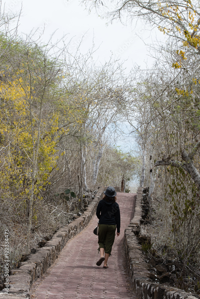 Obraz premium トルトゥーガ ベイへの道