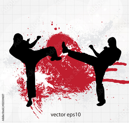 Vector of karate