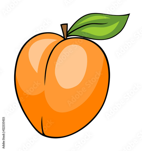 Apricot
