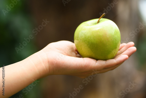 Green apple fruit holding by hand