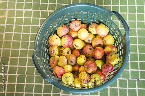 plastic crate with rotten apples