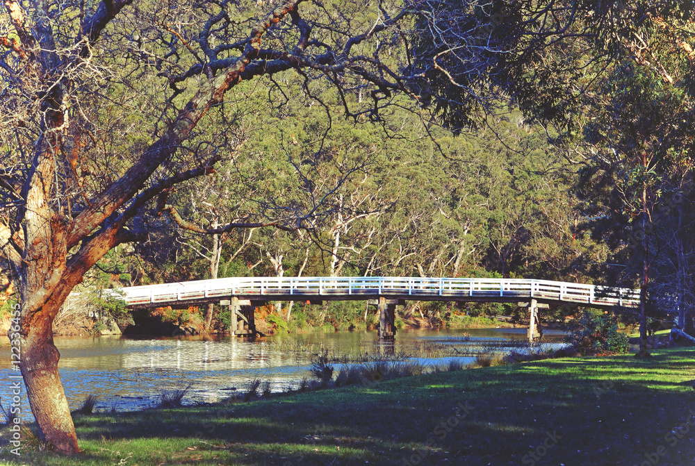 Historic wooden Varney Bridge across Kangaroo Creek at Audley, Royal National Park, Sydney, Australia