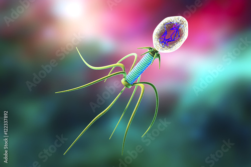 Bacteriophage, a virus which infects bacteria photo