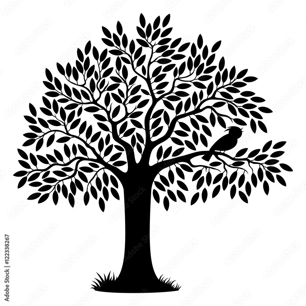 Obraz premium Beautiful tree.