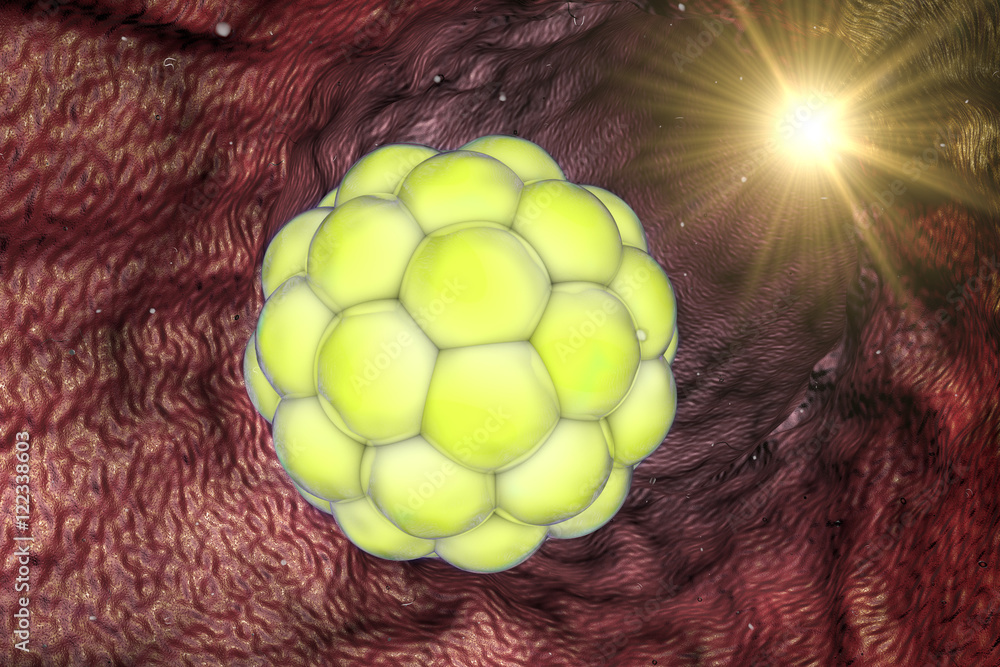 Varicella zoster or chickenpox virus structure, 3D illustration. A ...